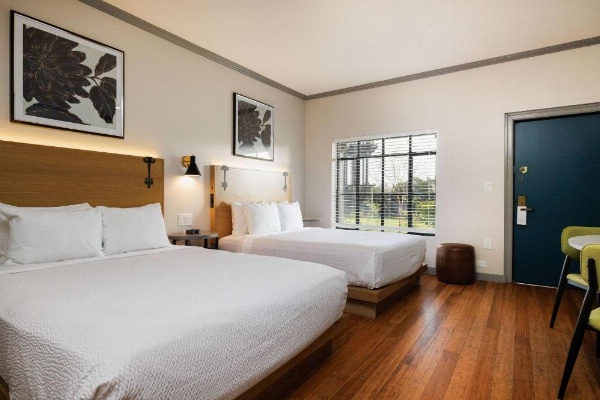 Inn Marin and Suites, Ascend Hotel Collection image 18